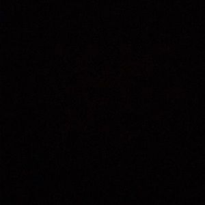 Meet your Posher, Farzad